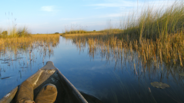 Exploring the Okavango Delta in Botswana on a mokoro canoe.