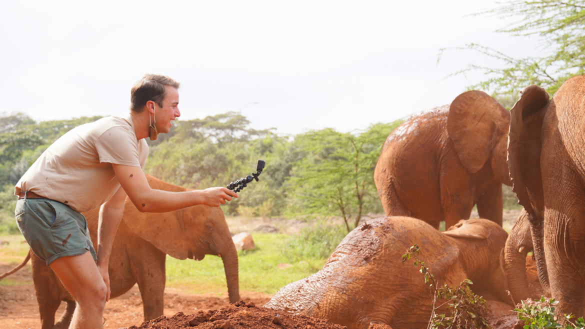 Young man filming baby elephants rolling in a mud bath at Sheldrick Wildlife Trust